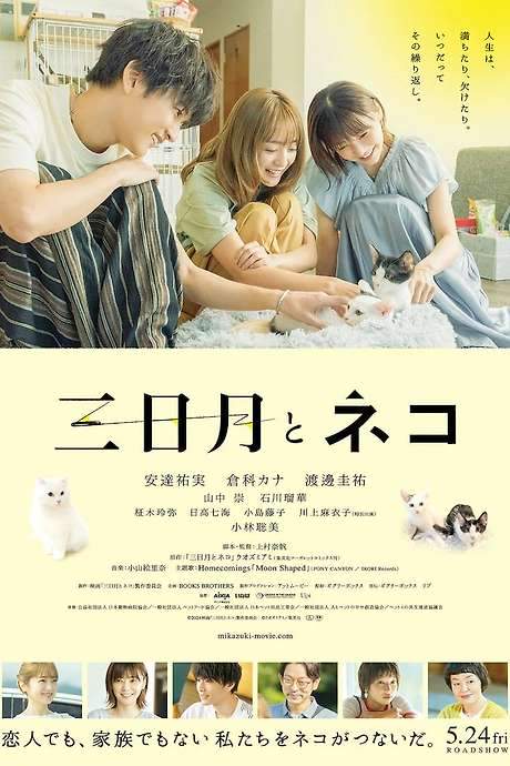 Crescent Moon and Cats